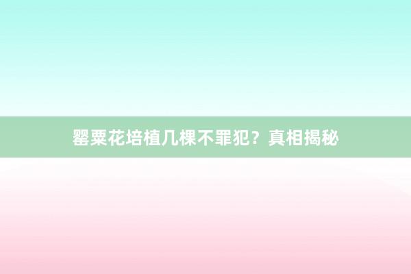 罂粟花培植几棵不罪犯？真相揭秘