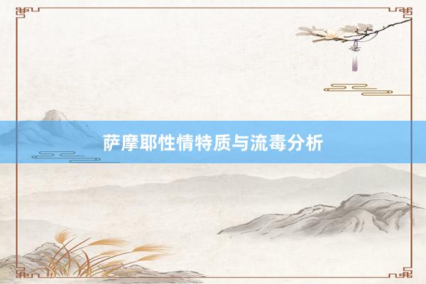 萨摩耶性情特质与流毒分析
