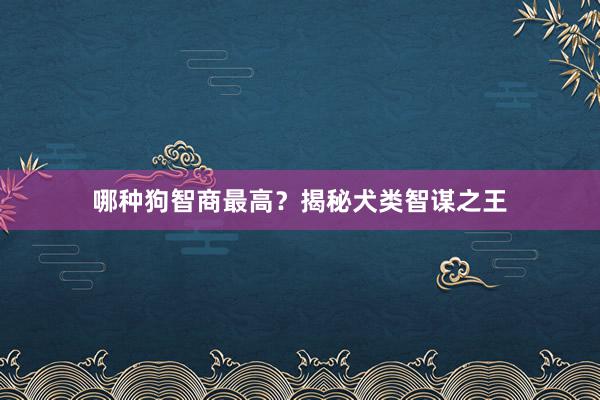 哪种狗智商最高？揭秘犬类智谋之王
