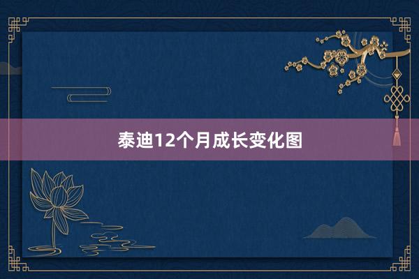 泰迪12个月成长变化图